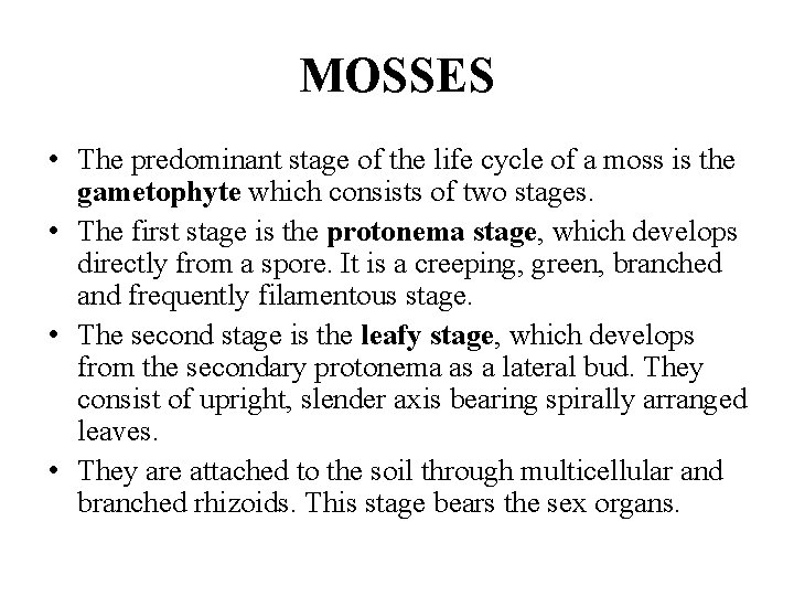 MOSSES • The predominant stage of the life cycle of a moss is the