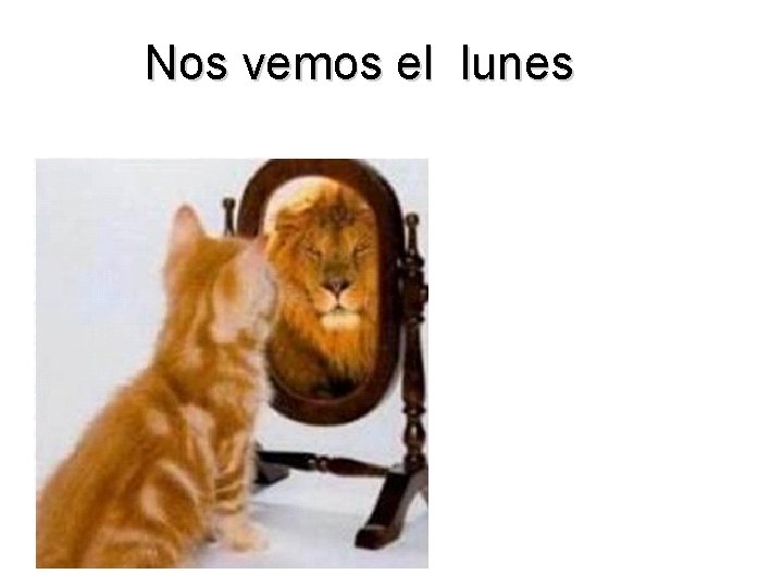 Nos vemos el lunes 