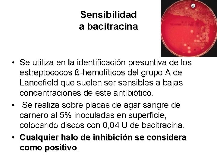 Sensibilidad a bacitracina • Se utiliza en la identificación presuntiva de los estreptococos ß-hemolíticos