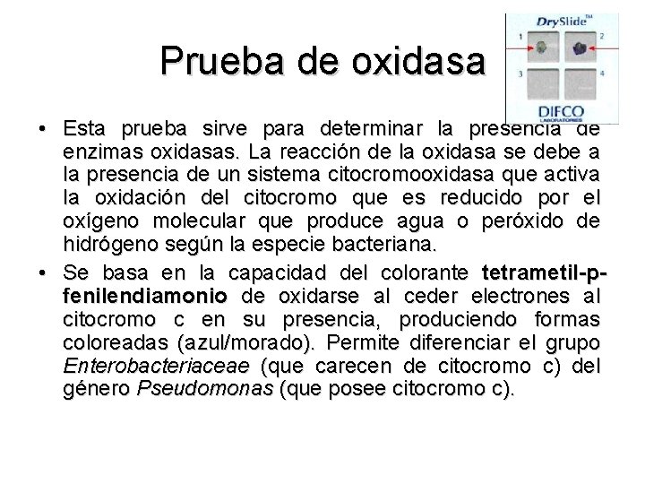 Prueba de oxidasa • Esta prueba sirve para determinar la presencia de enzimas oxidasas.