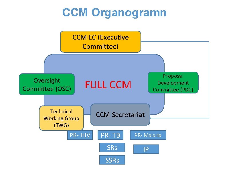 CCM Organogramn CCM EC (Executive Committee) Oversight Committee (OSC) Proposal Development Committee (PDC) FULL