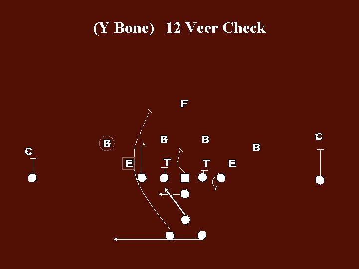 (Y Bone) 12 Veer Check 