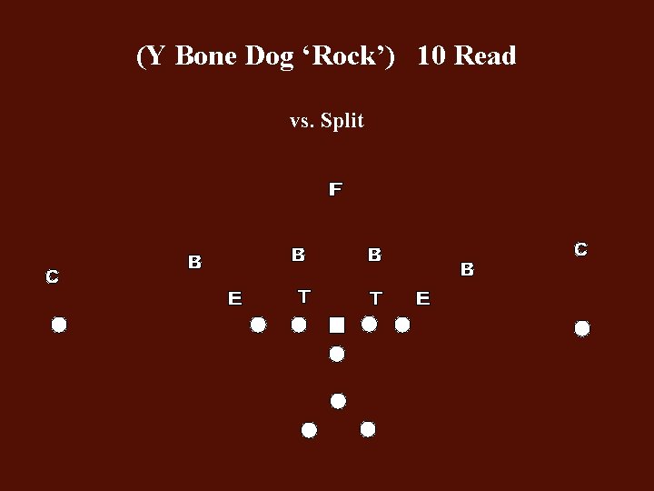 (Y Bone Dog ‘Rock’) 10 Read vs. Split 