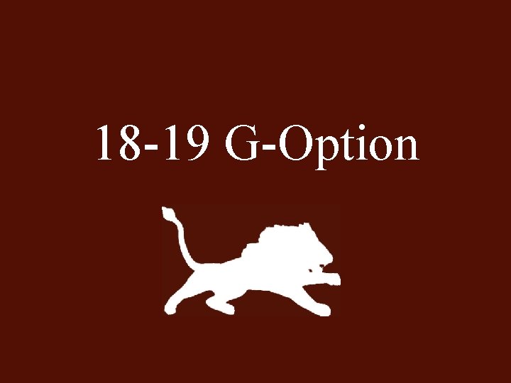 18 -19 G-Option 
