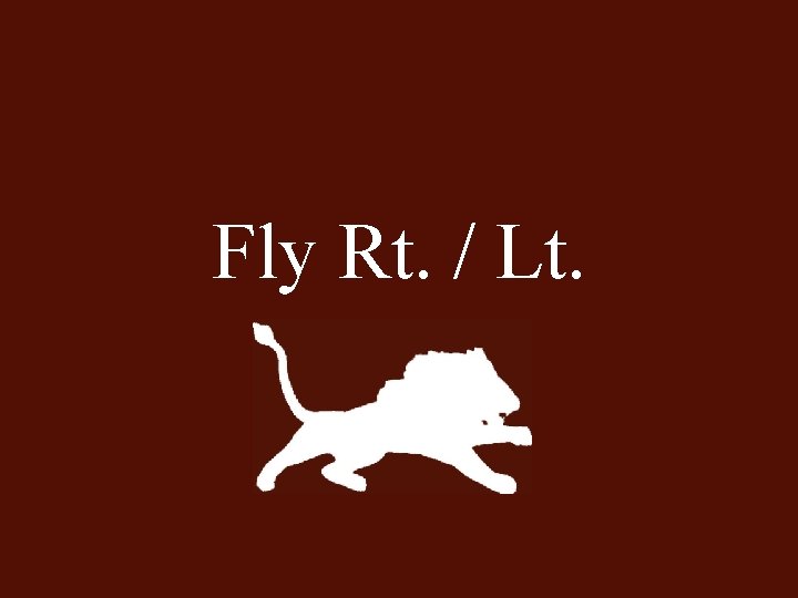 Fly Rt. / Lt. 