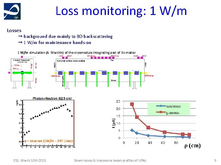 Beam Losses and Residual Gas profile monitors of