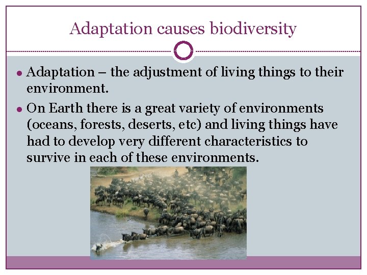 Adaptation causes biodiversity ● Adaptation – the adjustment of living things to their environment.