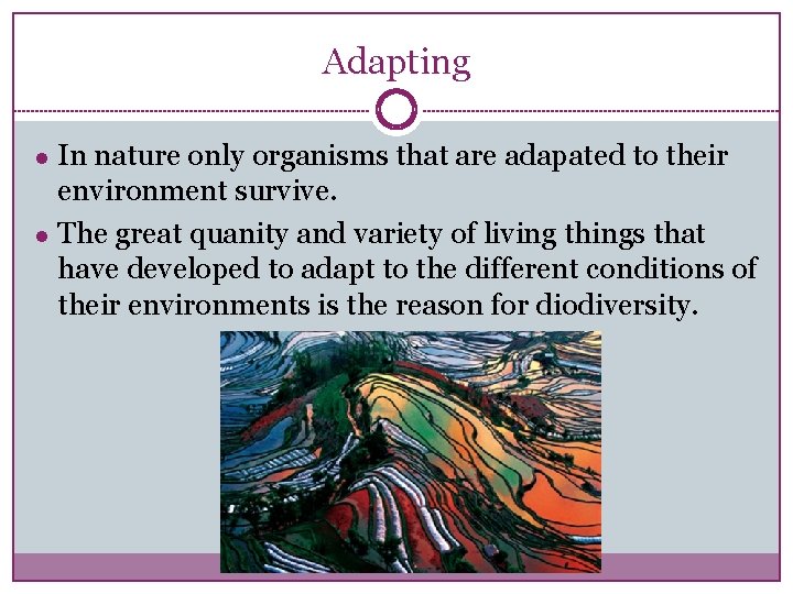 Adapting ● In nature only organisms that are adapated to their environment survive. ●