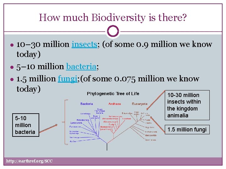 How much Biodiversity is there? ● 10– 30 million insects; (of some 0. 9