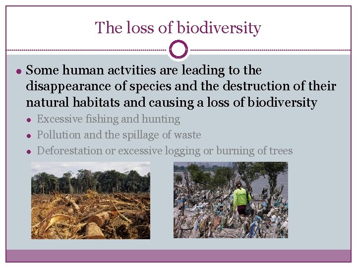 The loss of biodiversity ● Some human actvities are leading to the disappearance of