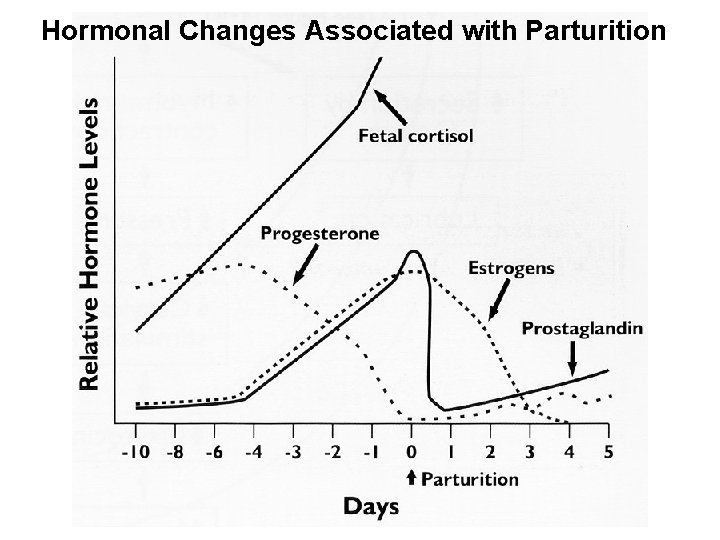 Hormonal Changes Associated with Parturition 