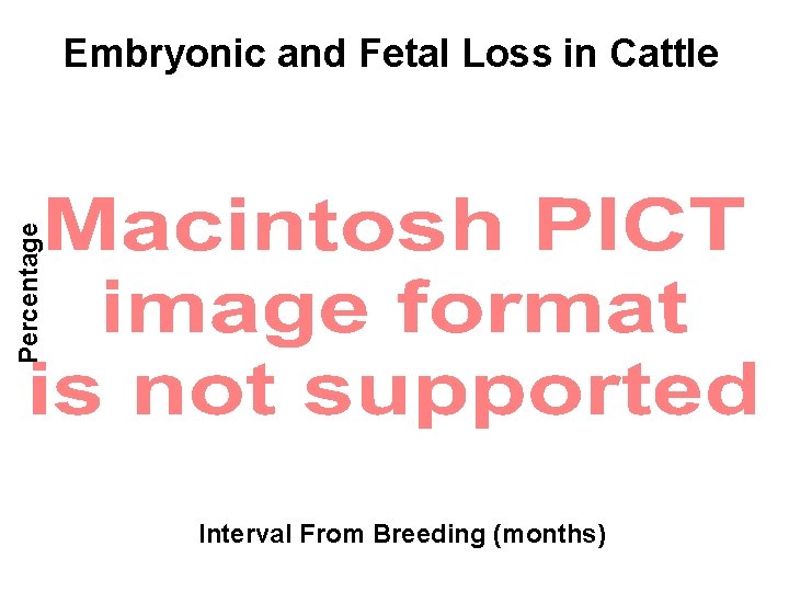 Percentage Embryonic and Fetal Loss in Cattle Interval From Breeding (months) 