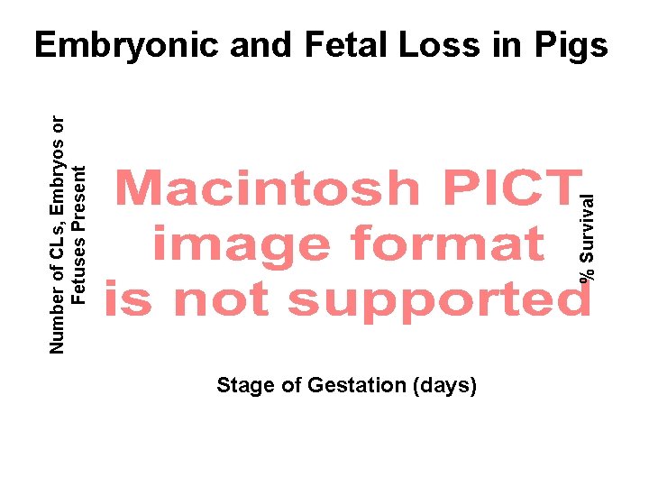 % Survival Number of CLs, Embryos or Fetuses Present Embryonic and Fetal Loss in