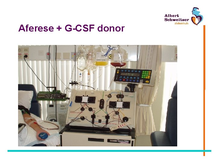 Aferese + G-CSF donor 