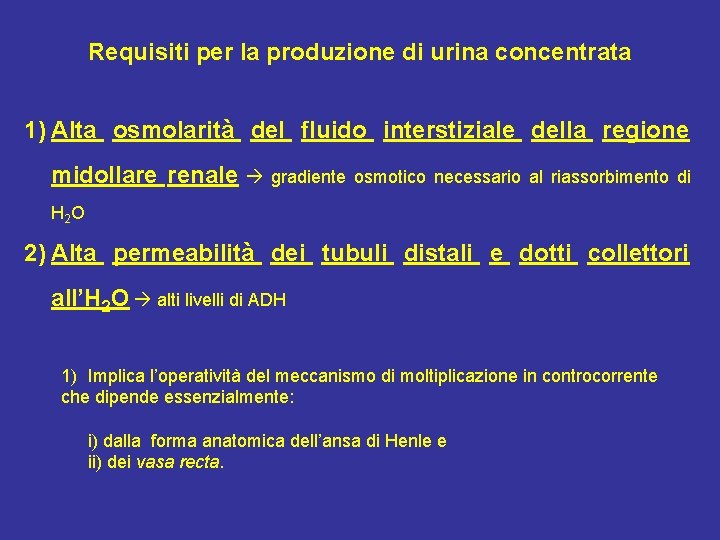 Requisiti per la produzione di urina concentrata 1) Alta osmolarità del fluido interstiziale della