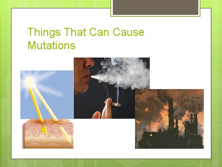 Things That Can Cause Mutations 