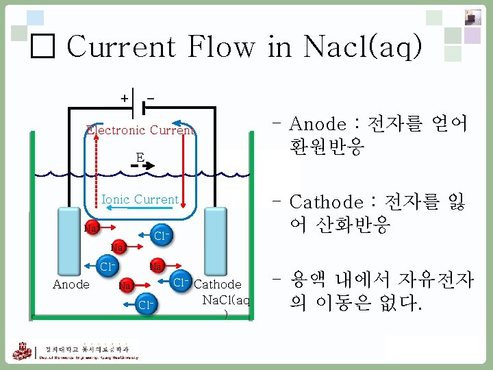 □ Current Flow in Nacl(aq) - Anode : 전자를 얻어 환원반응 Electronic Current E