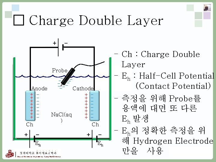 □ Charge Double Layer Probe - --- Cathode Anode +++++++Na. Cl(aq ++) Ch Ch