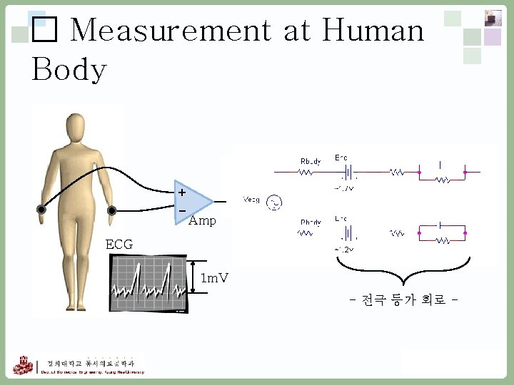 □ Measurement at Human Body + Amp ECG 1 m. V - 전극 등가