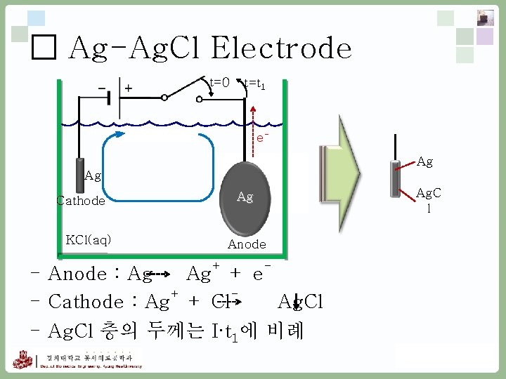 □ Ag-Ag. Cl Electrode t=0 t=t 1 e. Ag Ag Cathode KCl(aq) Ag Anode