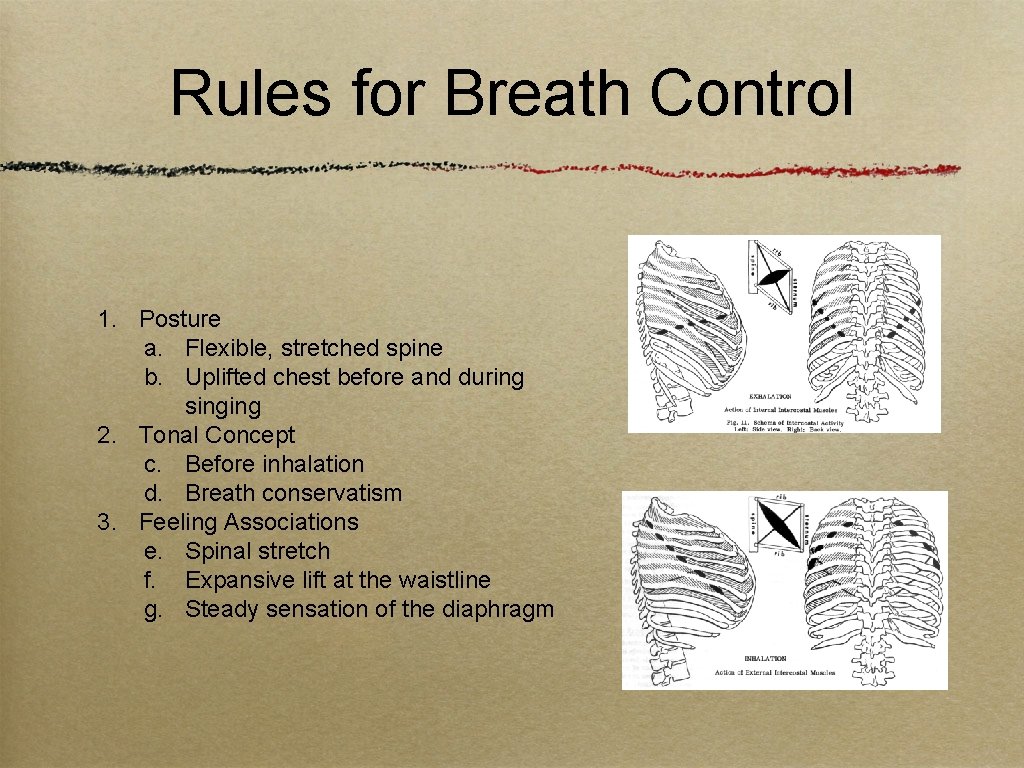 Rules for Breath Control 1. Posture a. Flexible, stretched spine b. Uplifted chest before