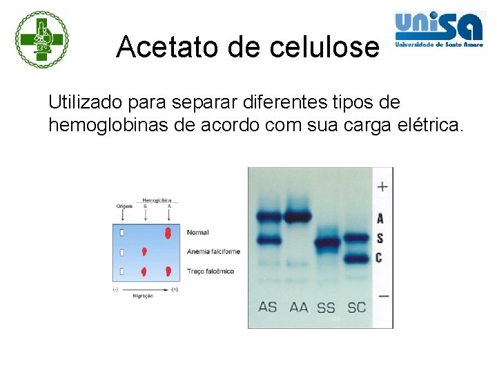 Acetato de celulose Utilizado para separar diferentes tipos de hemoglobinas de acordo com sua