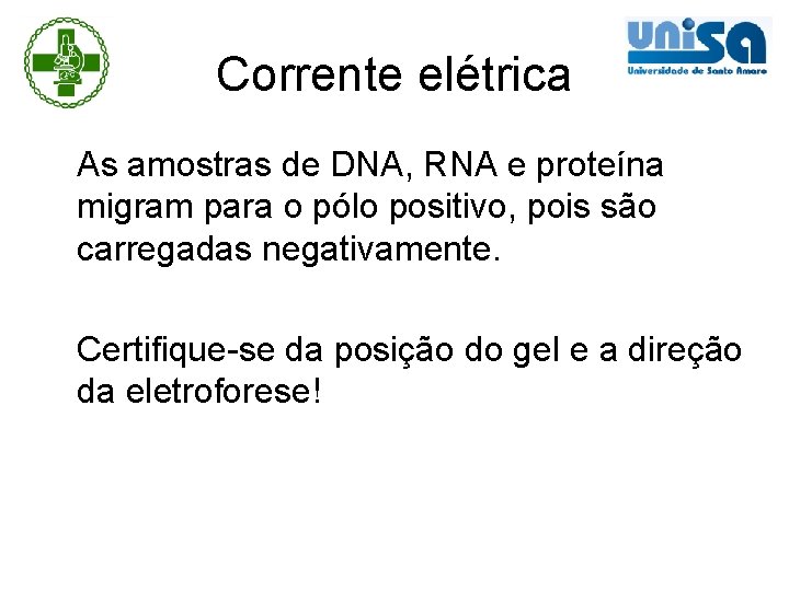 Corrente elétrica As amostras de DNA, RNA e proteína migram para o pólo positivo,