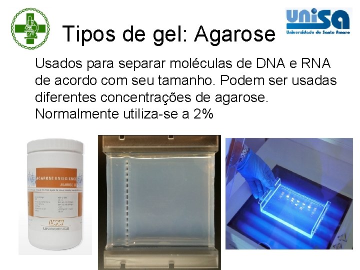 Tipos de gel: Agarose Usados para separar moléculas de DNA e RNA de acordo