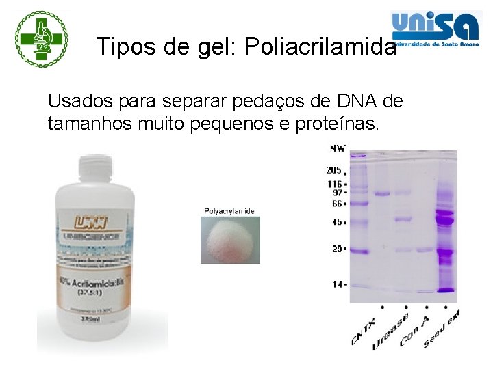 Tipos de gel: Poliacrilamida Usados para separar pedaços de DNA de tamanhos muito pequenos