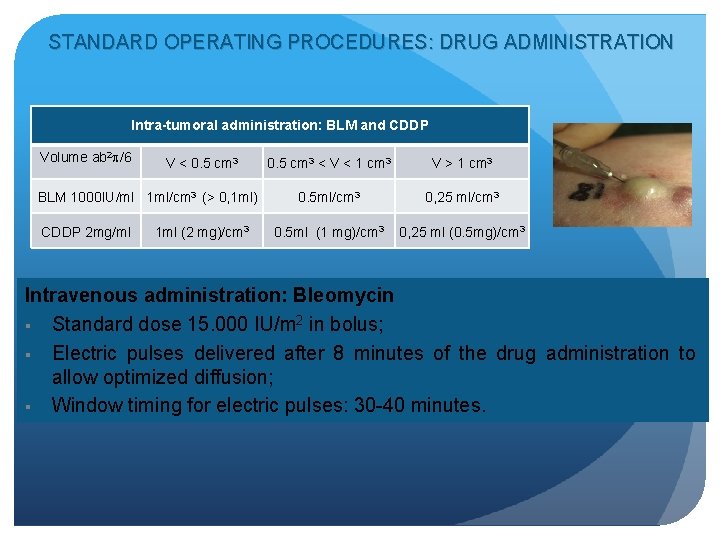STANDARD OPERATING PROCEDURES: DRUG ADMINISTRATION Intra-tumoral administration: BLM and CDDP Volume ab 2 /6