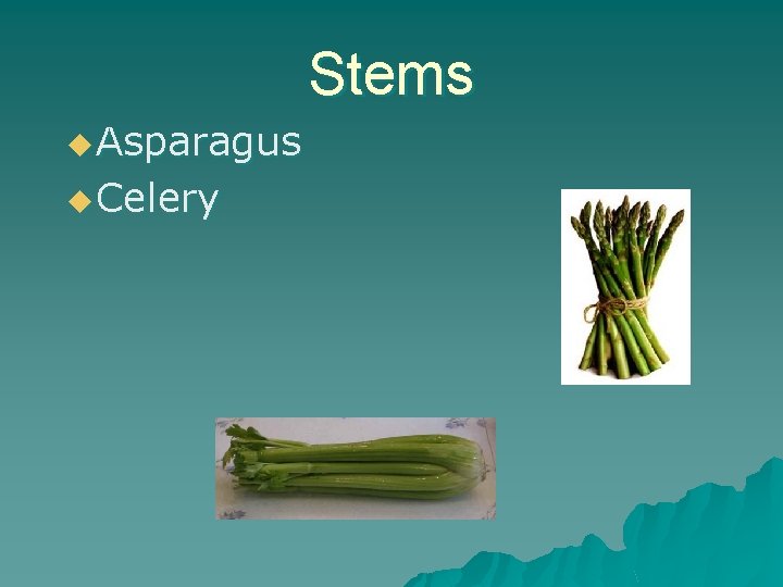 Stems u Asparagus u Celery 
