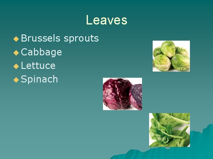 Leaves u Brussels u Cabbage u Lettuce u Spinach sprouts 