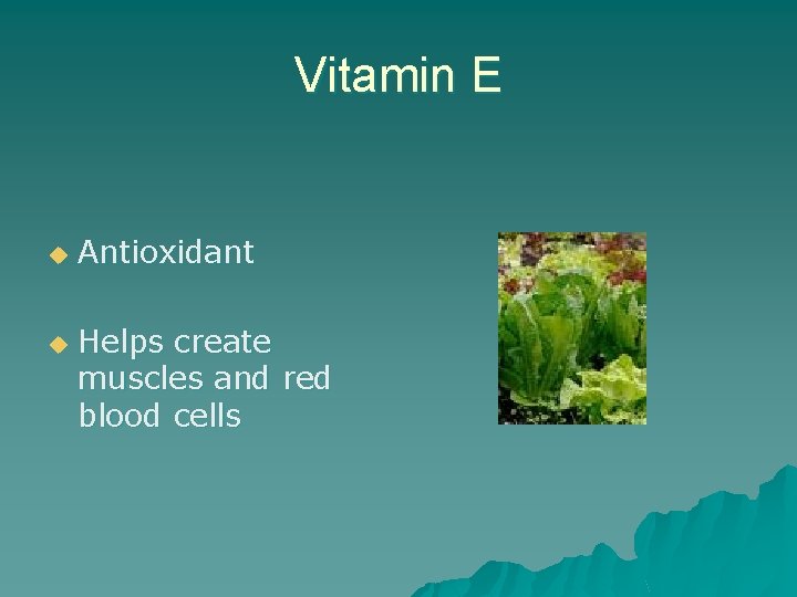 Vitamin E u u Antioxidant Helps create muscles and red blood cells 