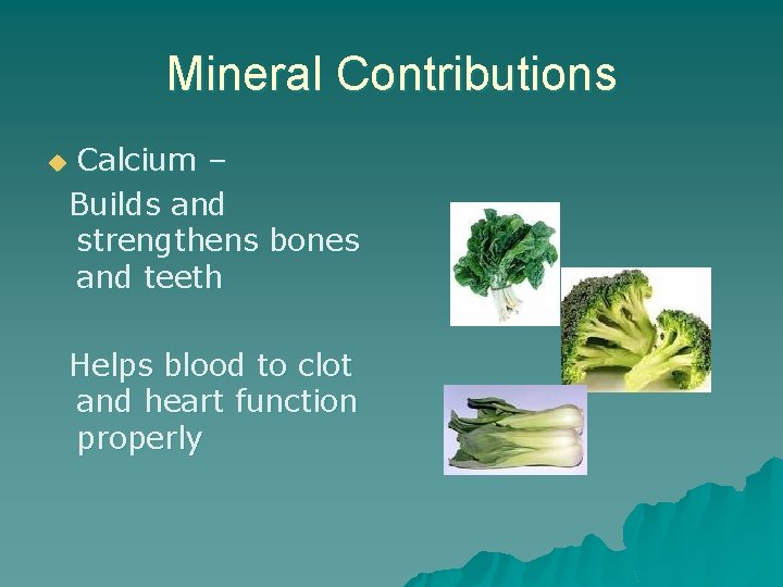 Mineral Contributions Calcium – Builds and strengthens bones and teeth u Helps blood to