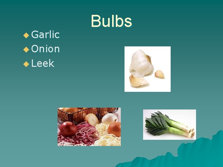 u Garlic u Onion u Leek Bulbs 