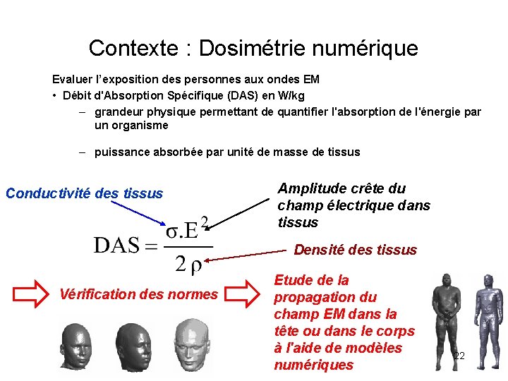 Contexte : Dosimétrie numérique Evaluer l’exposition des personnes aux ondes EM • Débit d'Absorption