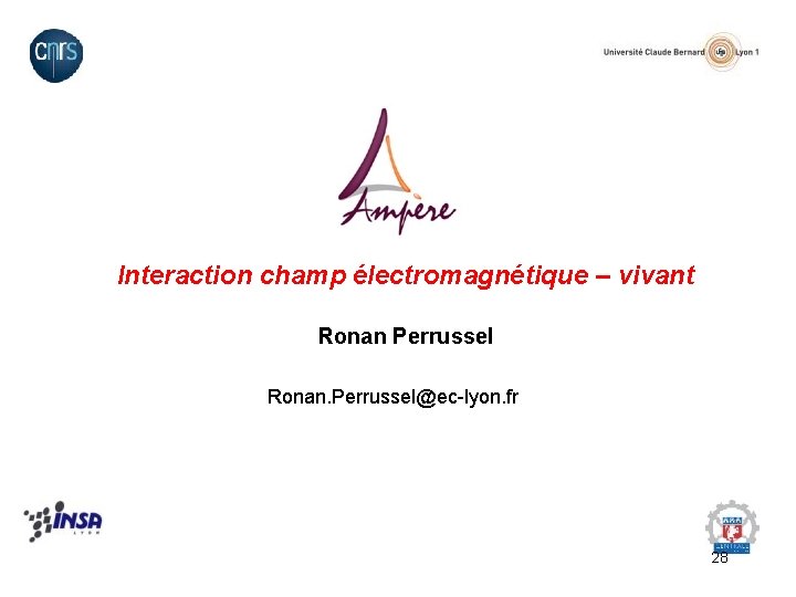 Interaction champ électromagnétique – vivant Ronan Perrussel Ronan. Perrussel@ec-lyon. fr 28 