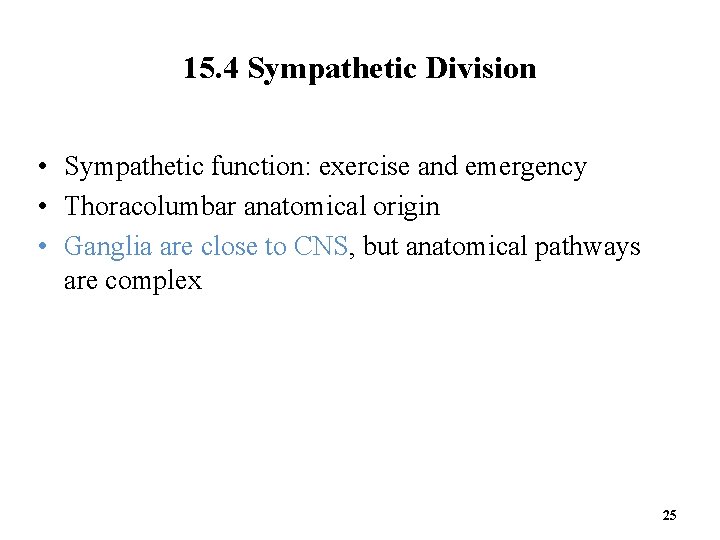 15. 4 Sympathetic Division • Sympathetic function: exercise and emergency • Thoracolumbar anatomical origin