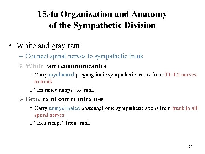 15. 4 a Organization and Anatomy of the Sympathetic Division • White and gray