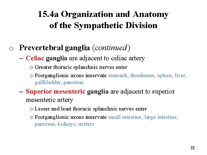 15. 4 a Organization and Anatomy of the Sympathetic Division o Prevertebral ganglia (continued )