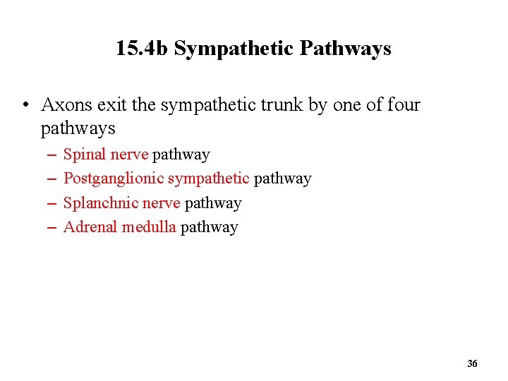 15. 4 b Sympathetic Pathways • Axons exit the sympathetic trunk by one of