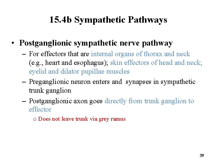 15. 4 b Sympathetic Pathways • Postganglionic sympathetic nerve pathway – For effectors that