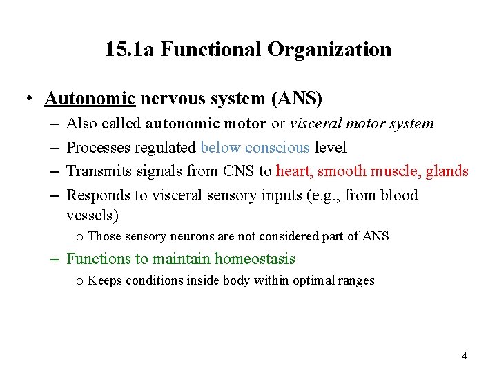 15. 1 a Functional Organization • Autonomic nervous system (ANS) – – Also called