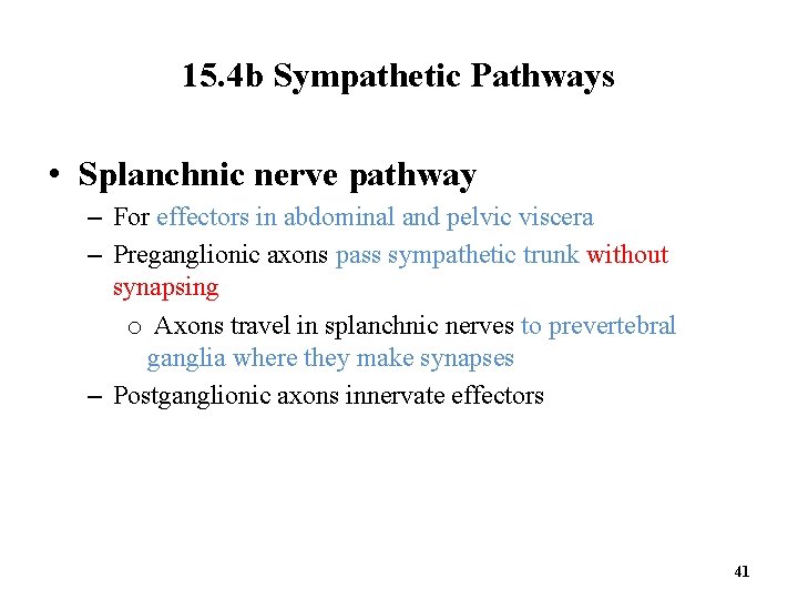 15. 4 b Sympathetic Pathways • Splanchnic nerve pathway – For effectors in abdominal