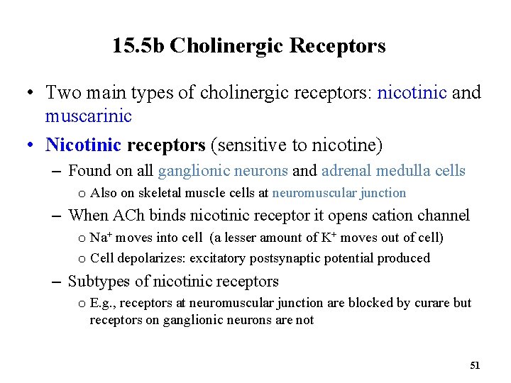 15. 5 b Cholinergic Receptors • Two main types of cholinergic receptors: nicotinic and