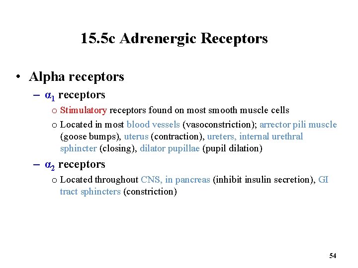 15. 5 c Adrenergic Receptors • Alpha receptors – α 1 receptors o Stimulatory