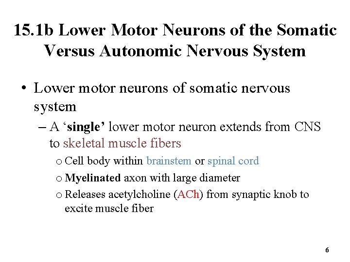 15. 1 b Lower Motor Neurons of the Somatic Versus Autonomic Nervous System •