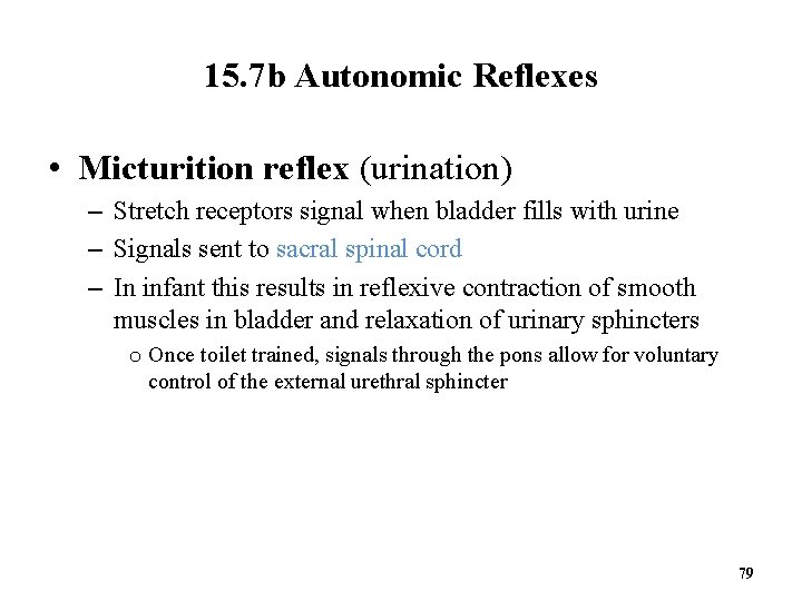 15. 7 b Autonomic Reflexes • Micturition reflex (urination) – Stretch receptors signal when