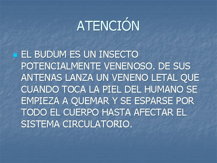 ATENCIÓN n EL BUDUM ES UN INSECTO POTENCIALMENTE VENENOSO. DE SUS ANTENAS LANZA UN