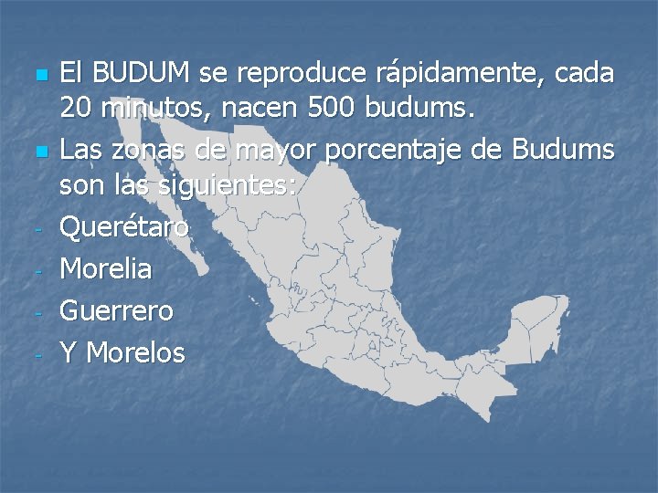 n n - El BUDUM se reproduce rápidamente, cada 20 minutos, nacen 500 budums.